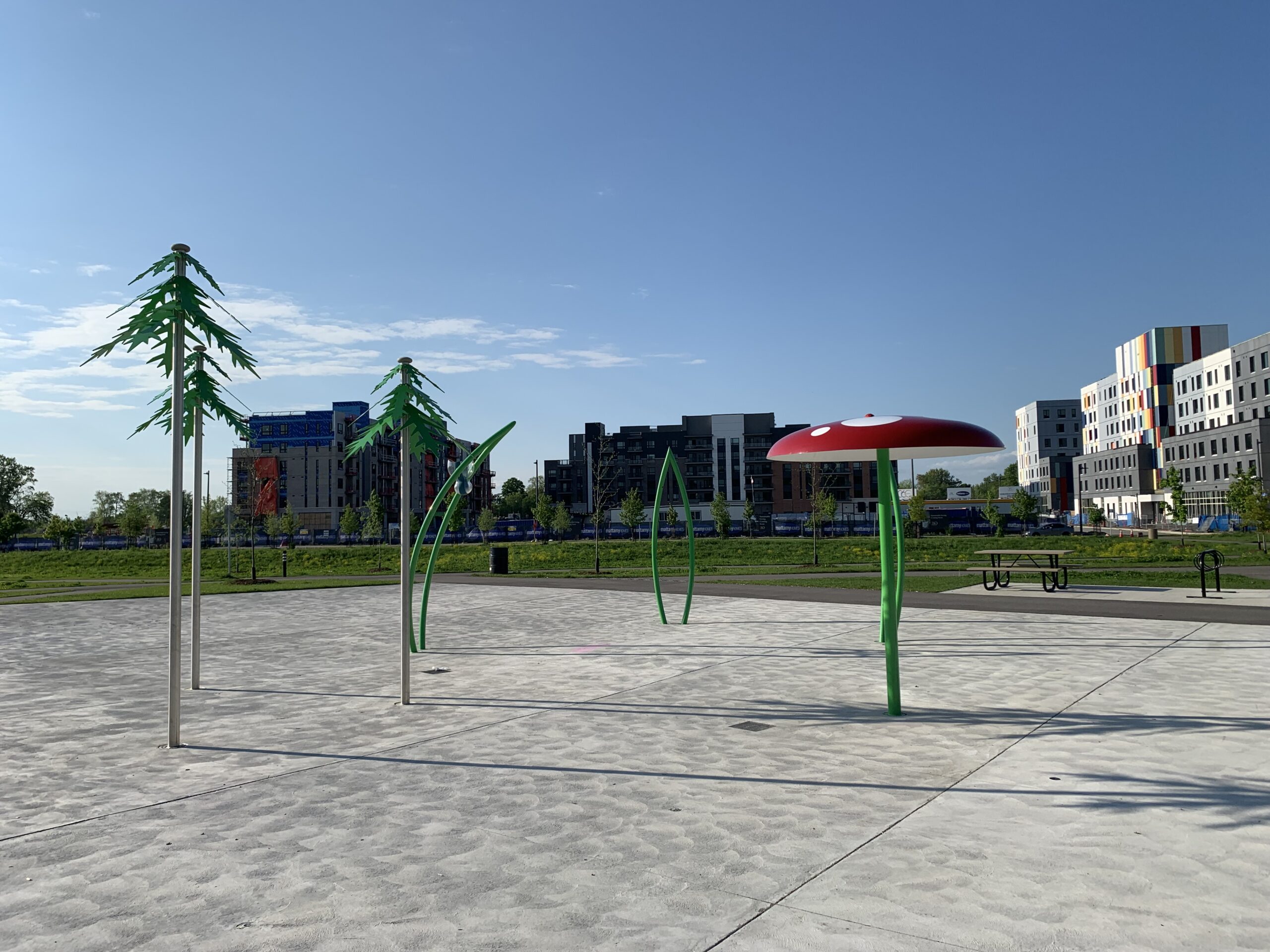 Spring 2024 Newsletter